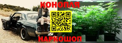 мдпв Севастополь