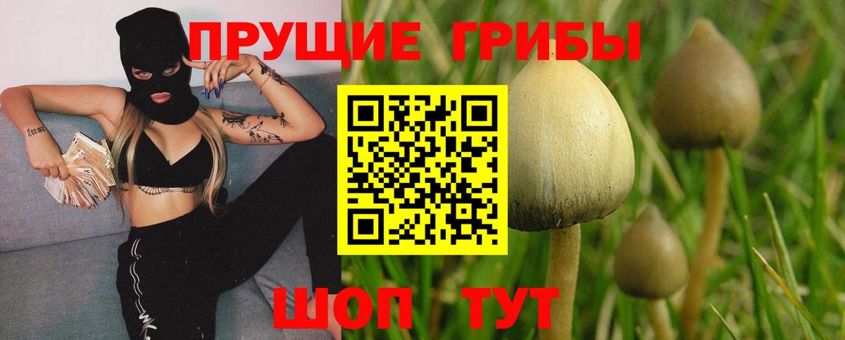 Нефтекумск  Галлюциногенные грибы GOLDEN TEACHER  Вход с VPN 