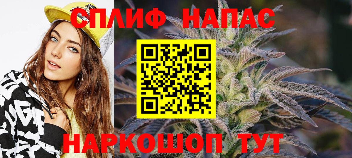 Марихуана семена Нефтекумск